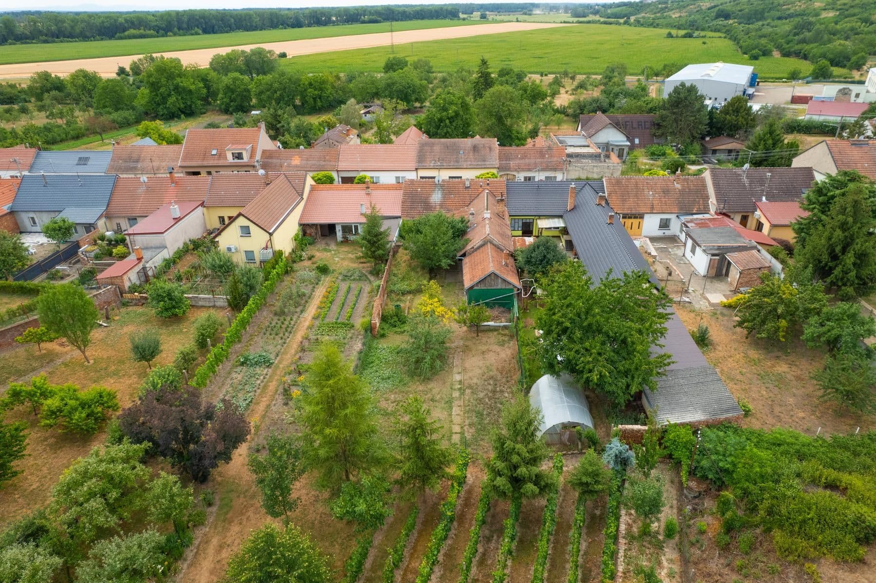 Predaj domu 100 m², pozemok 536 m², Ukrajina, Moravská Nová Ves, Jihomoravský kraj Predaj domu 100 m², pozemok 536 m², Ukrajina, Moravská Nová Ves, Jihomoravský kraj