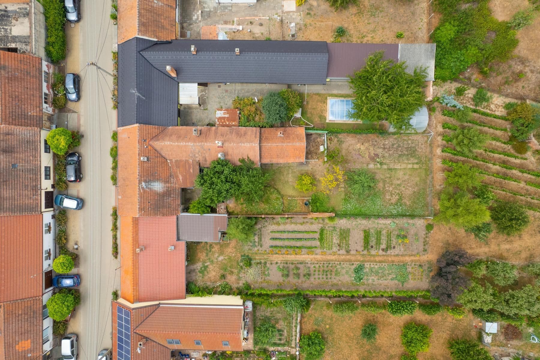 Predaj domu 100 m², pozemok 536 m², Ukrajina, Moravská Nová Ves, Jihomoravský kraj Predaj domu 100 m², pozemok 536 m², Ukrajina, Moravská Nová Ves, Jihomoravský kraj