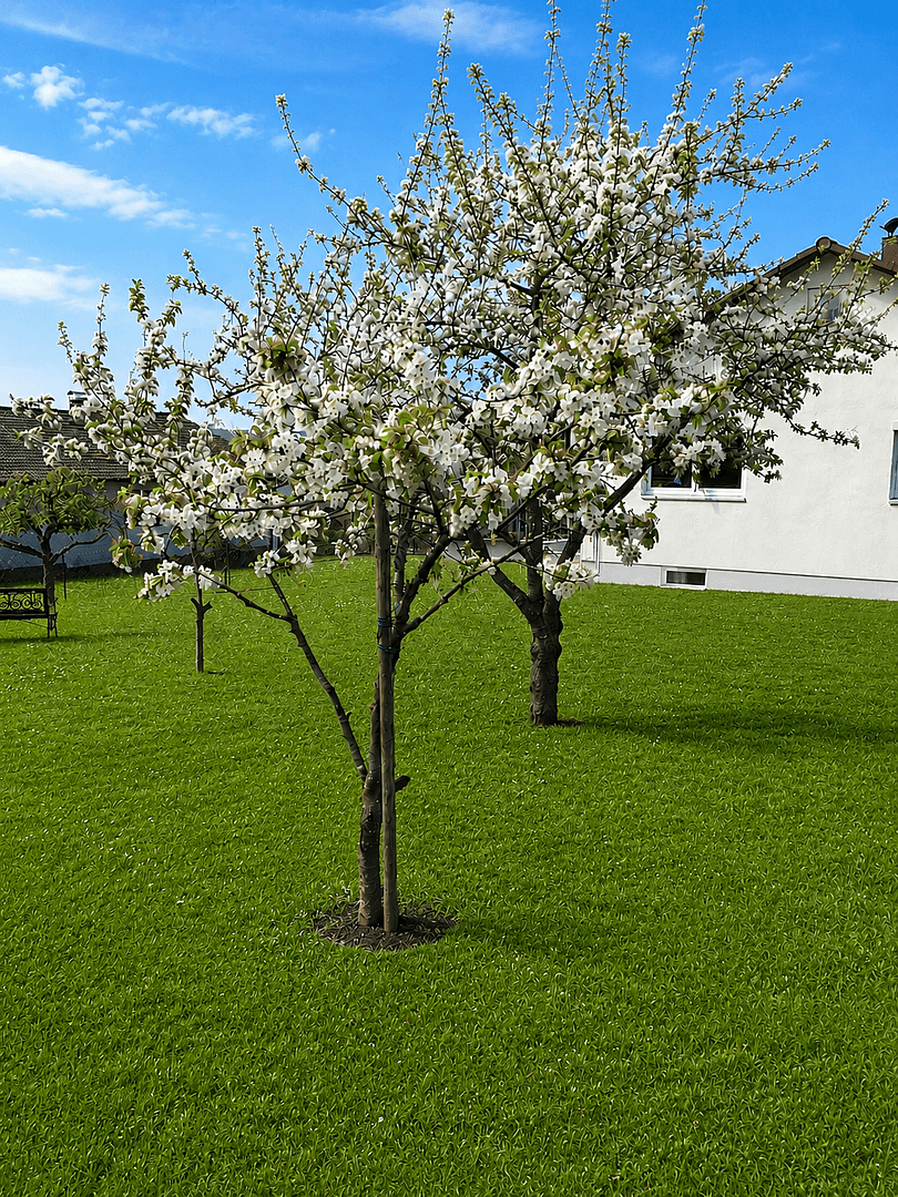 Predaj domu 145 m², pozemok 787 m², Pappenheim, Bavorsko Predaj domu 145 m², pozemok 787 m², Pappenheim, Bavorsko