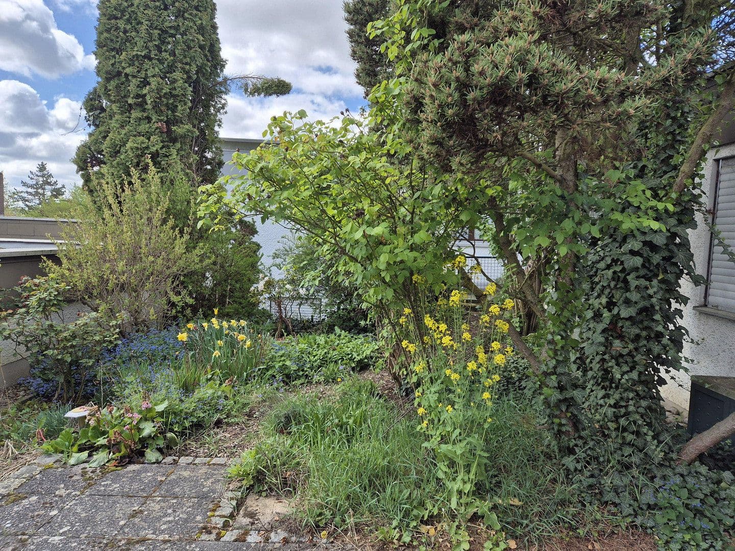 Predaj domu 119 m², pozemok 295 m², Würzburg, Bavorsko Predaj domu 119 m², pozemok 295 m², Würzburg, Bavorsko