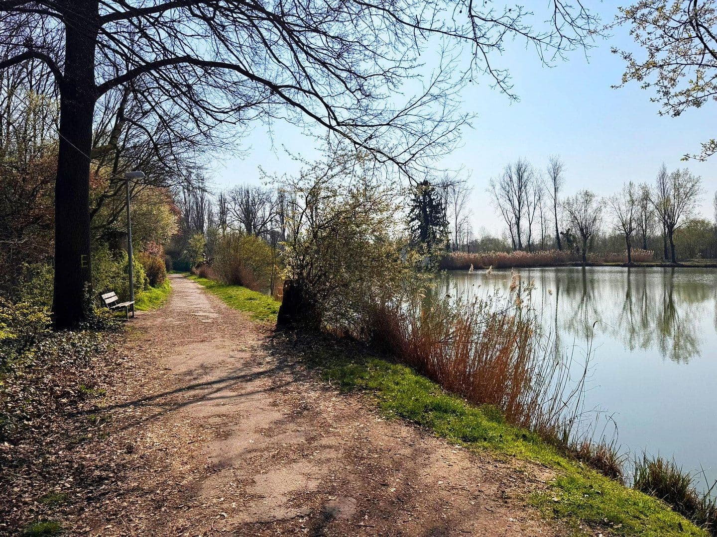 Predaj domu 153 m², pozemok 410 m², Ludwigshafen-Oggersheim, Porýnie-Falcko Predaj domu 153 m², pozemok 410 m², Ludwigshafen-Oggersheim, Porýnie-Falcko