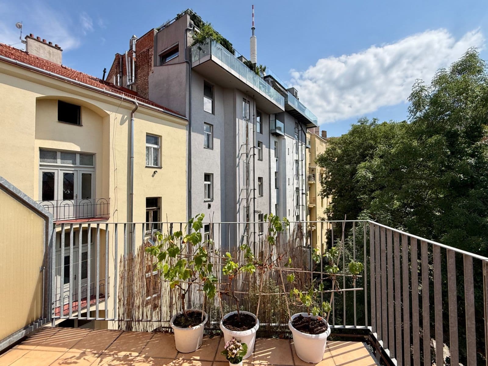 Prenájom bytu 2-izbový 62 m², Bořivojova, Praha, Praha Prenájom bytu 2-izbový 62 m², Bořivojova, Praha, Praha