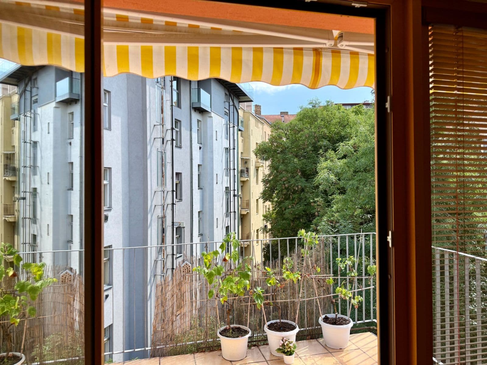 Prenájom bytu 2-izbový 62 m², Bořivojova, Praha, Praha Prenájom bytu 2-izbový 62 m², Bořivojova, Praha, Praha