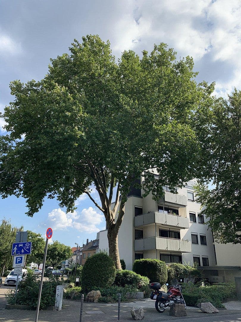 Prenájom bytu 2-izbový 92 m², Arndtstraße 32-34, Köln, Severné Porýnie - Westfálsko Prenájom bytu 2-izbový 92 m², Arndtstraße 32-34, Köln, Severné Porýnie - Westfálsko
