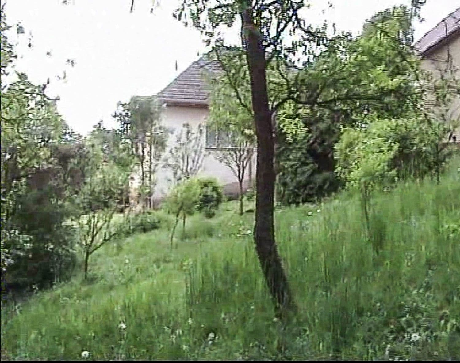 Predaj domu 80 m², pozemok 662 m², Hlubockého, Stará Turá, Trenčiansky kraj Predaj domu 80 m², pozemok 662 m², Hlubockého, Stará Turá, Trenčiansky kraj