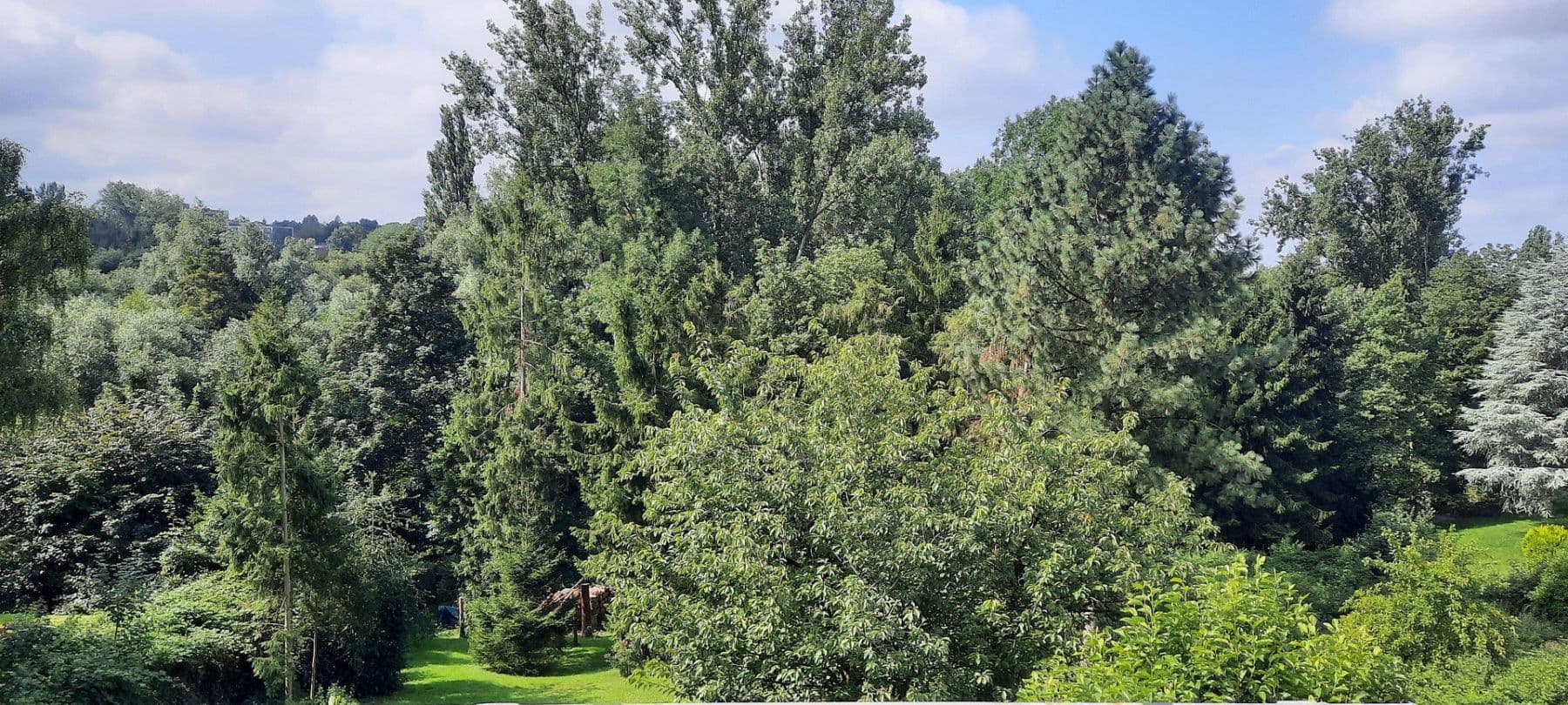 Prenájom bytu 2-izbový 63 m², Bedingrader Str., Essen, Severné Porýnie - Westfálsko Prenájom bytu 2-izbový 63 m², Bedingrader Str., Essen, Severné Porýnie - Westfálsko