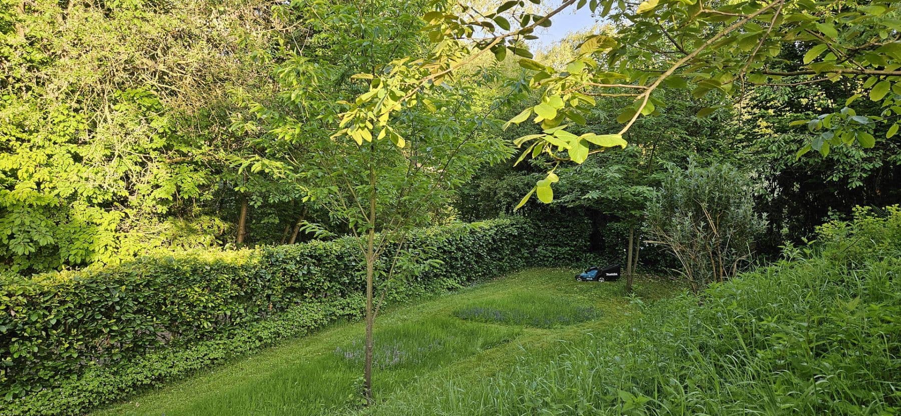 Prenájom domu 155 m², pozemok 700 m², Möhnesee, Severné Porýnie - Westfálsko Prenájom domu 155 m², pozemok 700 m², Möhnesee, Severné Porýnie - Westfálsko