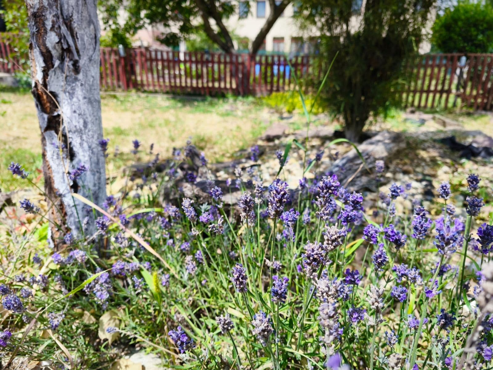 Predaj bytu 2-izbový 80 m², Havířská, Zastávka, Jihomoravský kraj Predaj bytu 2-izbový 80 m², Havířská, Zastávka, Jihomoravský kraj