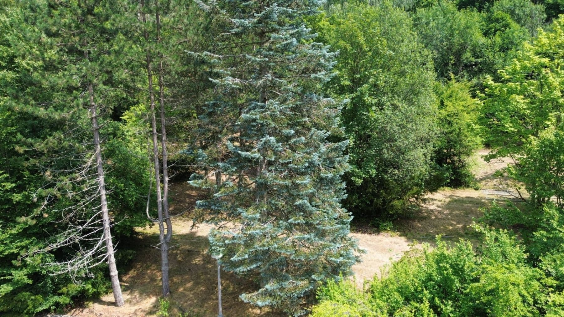 Predaj nebytového priestoru 11.580 m², Šternberk, Olomoucký kraj Predaj nebytového priestoru 11.580 m², Šternberk, Olomoucký kraj
