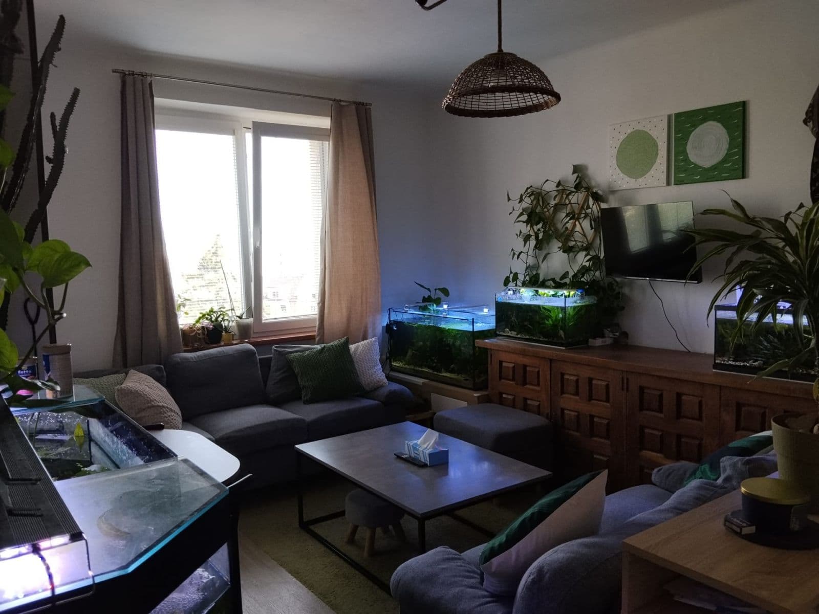 Prenájom bytu 3-izbový 69 m², Jetelová, Plzeň, Plzeňský kraj Prenájom bytu 3-izbový 69 m², Jetelová, Plzeň, Plzeňský kraj