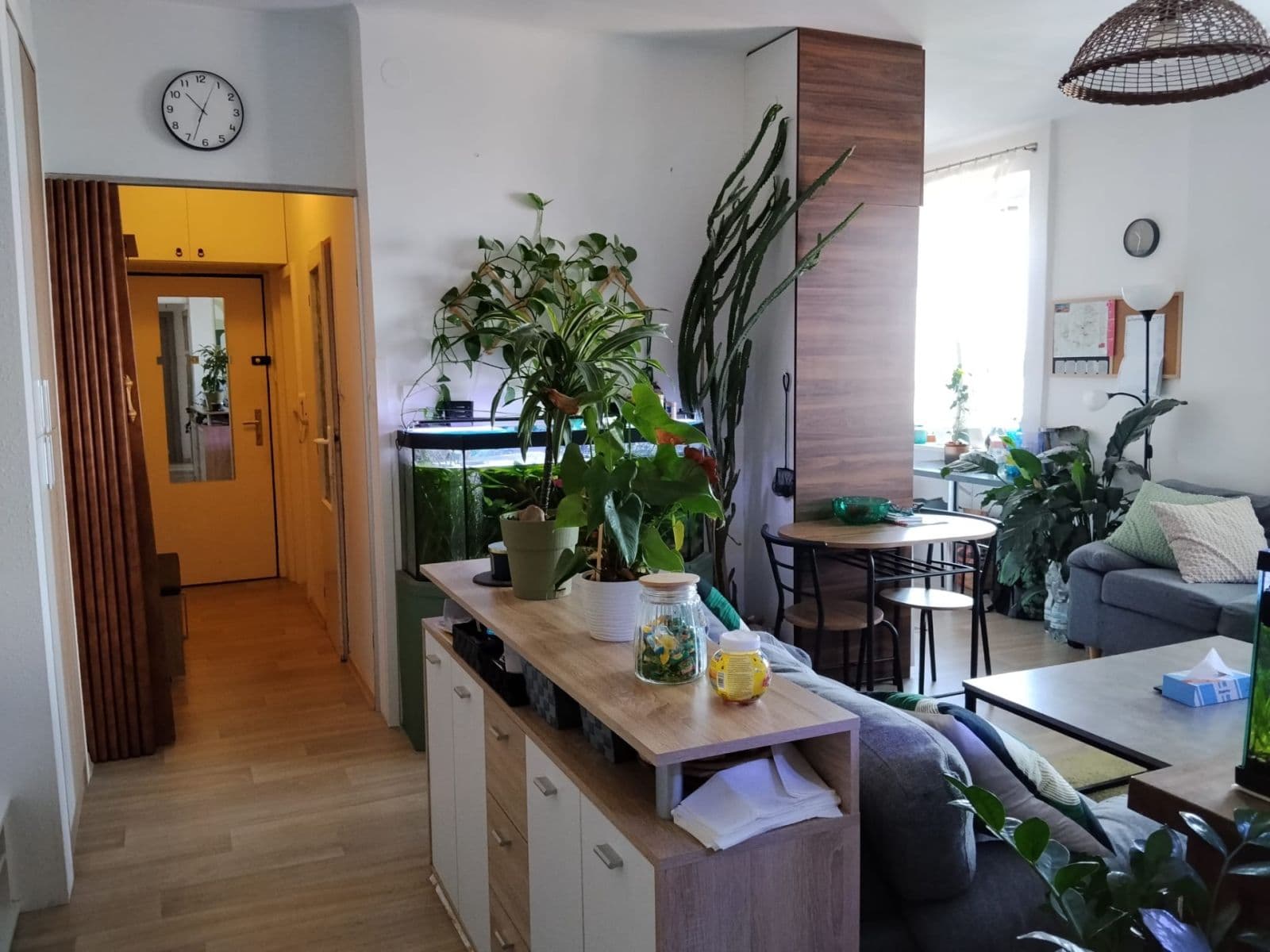 Prenájom bytu 3-izbový 69 m², Jetelová, Plzeň, Plzeňský kraj Prenájom bytu 3-izbový 69 m², Jetelová, Plzeň, Plzeňský kraj