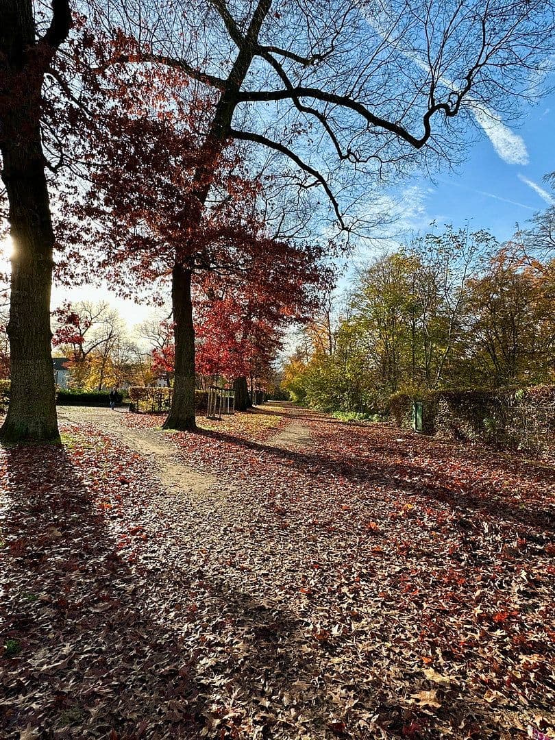 Prenájom bytu 3-izbový 109 m², Buchenstraße 39, Düsseldorf, Severné Porýnie - Westfálsko Prenájom bytu 3-izbový 109 m², Buchenstraße 39, Düsseldorf, Severné Porýnie - Westfálsko
