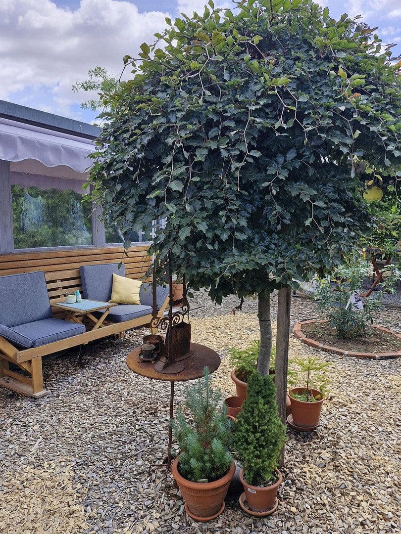 Predaj bytu 4-izbový 96 m², Gemmingen, Bádensko-Wurttembersko Predaj bytu 4-izbový 96 m², Gemmingen, Bádensko-Wurttembersko