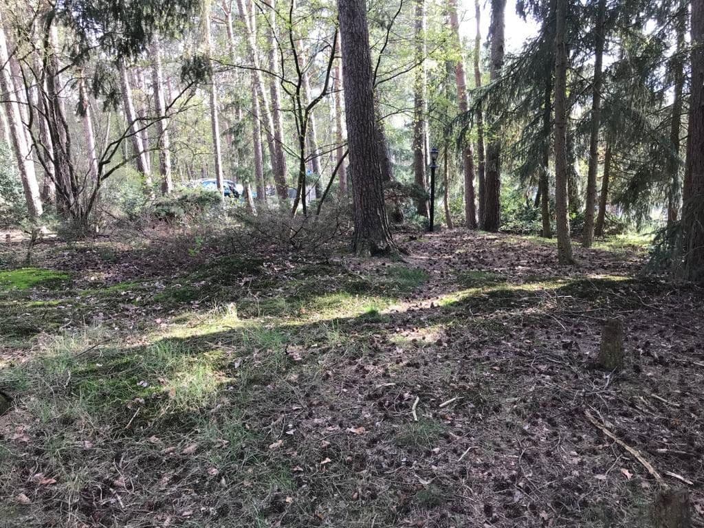 Predaj pozemku 1.000 m², Lindwedel, Dolné Sasko Predaj pozemku 1.000 m², Lindwedel, Dolné Sasko