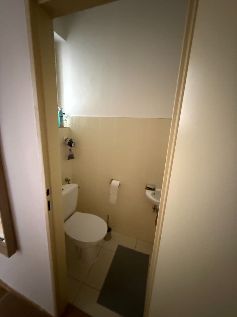 Prenájom bytu 1-izbový 46 m², Purkyňova, Brno, Jihomoravský kraj Prenájom bytu 1-izbový 46 m², Purkyňova, Brno, Jihomoravský kraj