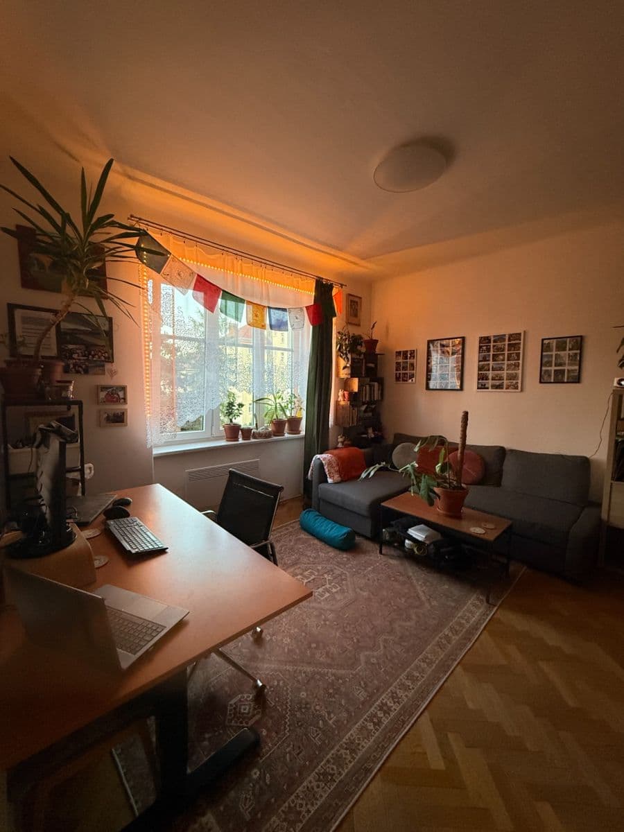 Prenájom bytu 1-izbový 46 m², Purkyňova, Brno, Jihomoravský kraj Prenájom bytu 1-izbový 46 m², Purkyňova, Brno, Jihomoravský kraj