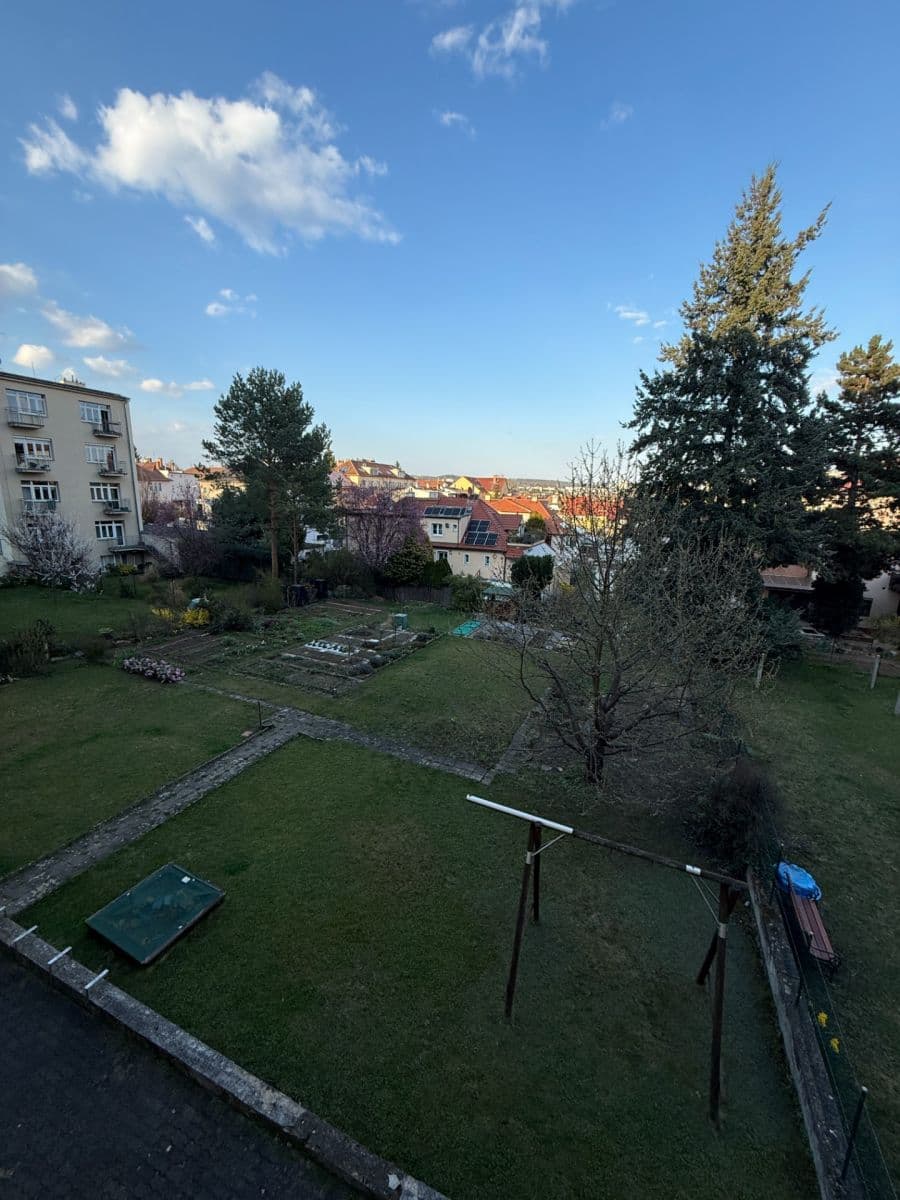 Prenájom bytu 1-izbový 46 m², Purkyňova, Brno, Jihomoravský kraj Prenájom bytu 1-izbový 46 m², Purkyňova, Brno, Jihomoravský kraj