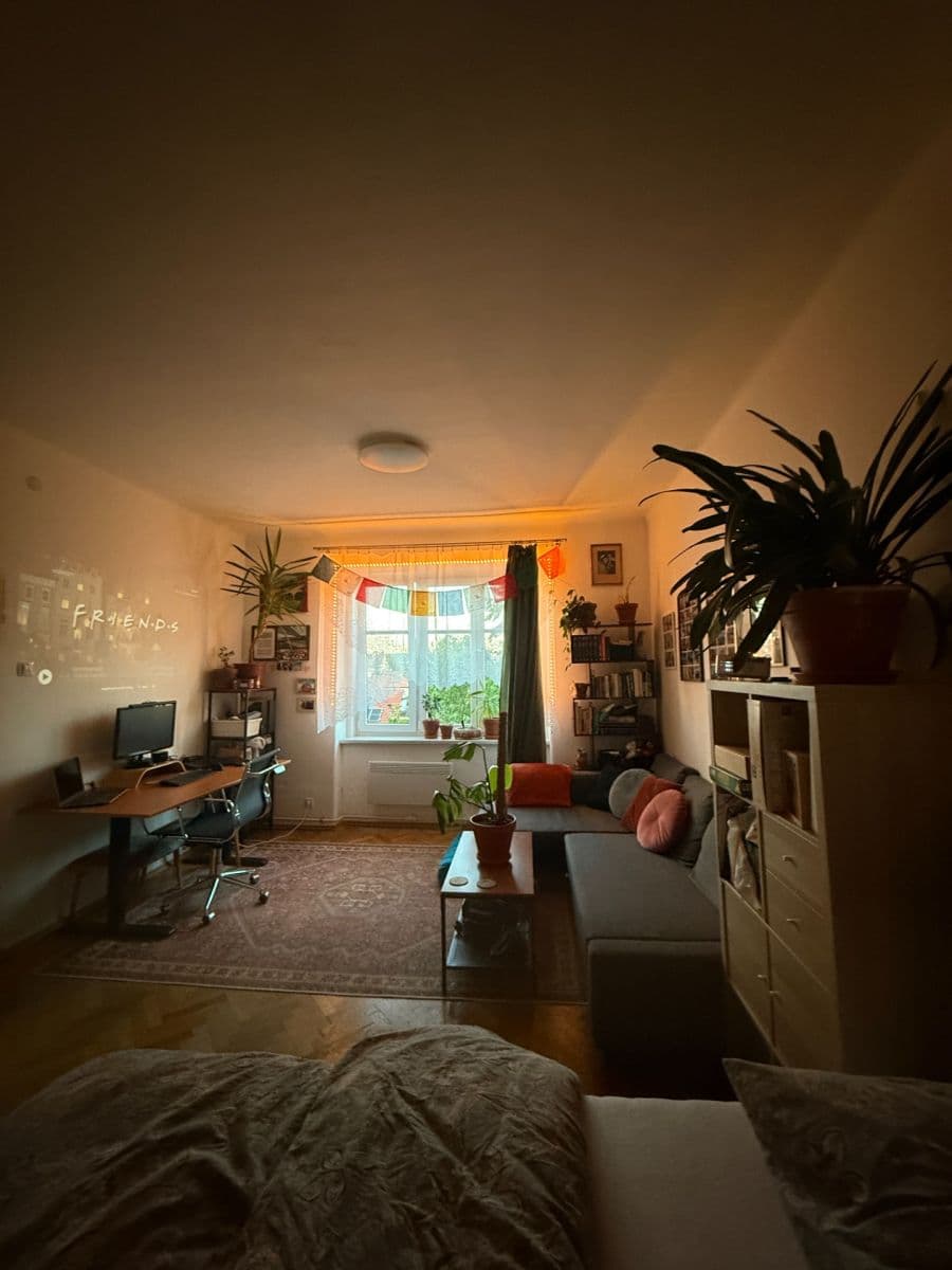 Prenájom bytu 1-izbový 46 m², Purkyňova, Brno, Jihomoravský kraj Prenájom bytu 1-izbový 46 m², Purkyňova, Brno, Jihomoravský kraj