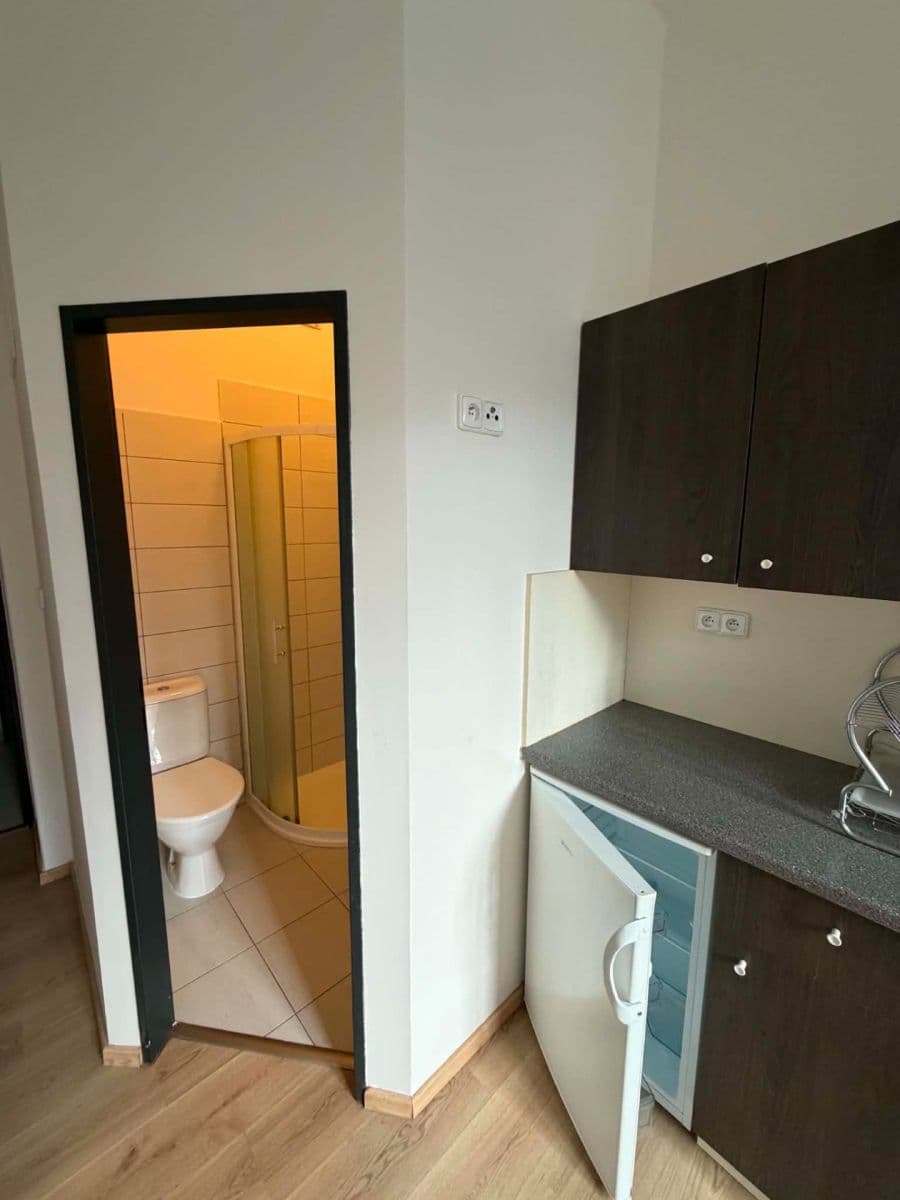 Prenájom bytu 1-izbový 15 m², náměstí Hrdinů, Praha, Praha Prenájom bytu 1-izbový 15 m², náměstí Hrdinů, Praha, Praha