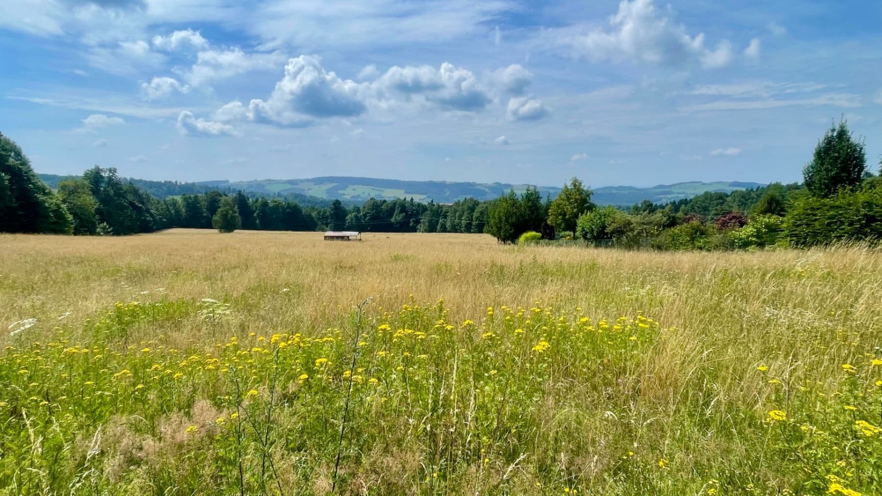 Predaj pozemku 2.205 m², U Pískovny, Jablonec nad Nisou, Liberecký kraj Predaj pozemku 2.205 m², U Pískovny, Jablonec nad Nisou, Liberecký kraj