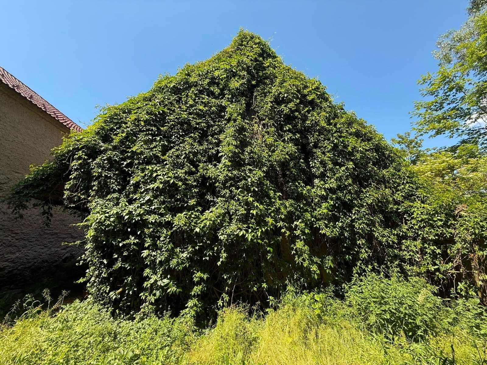 Predaj domu 150 m², pozemok 625 m², Mladý Smolivec, Plzeňský kraj Predaj domu 150 m², pozemok 625 m², Mladý Smolivec, Plzeňský kraj