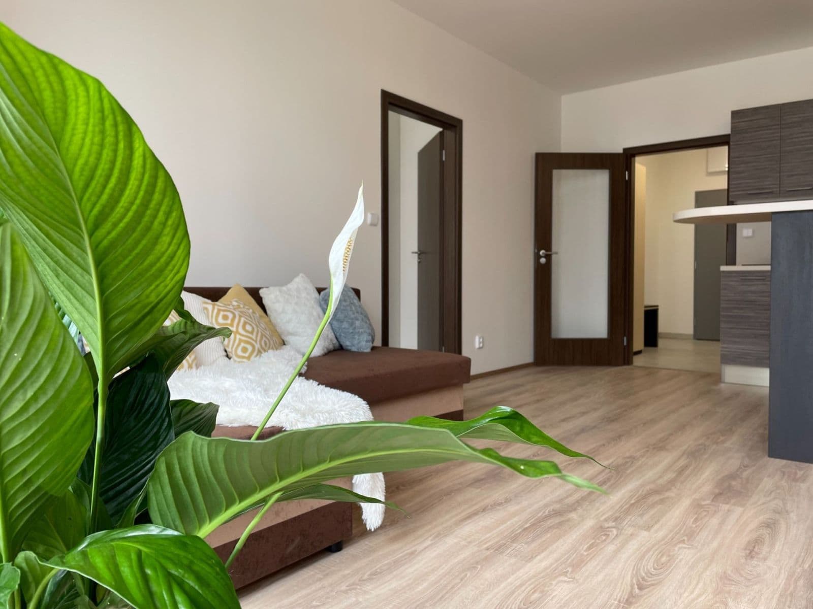 Predaj bytu 2-izbový 48 m², Vídeňská, Brno, Jihomoravský kraj Predaj bytu 2-izbový 48 m², Vídeňská, Brno, Jihomoravský kraj