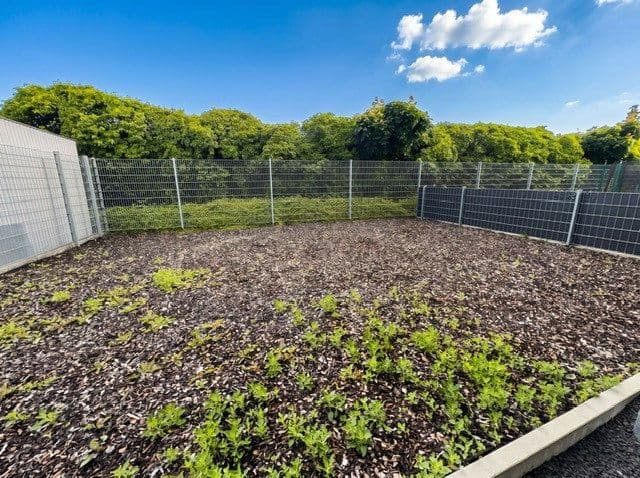 Prenájom bytu 3-izbový 95 m², Jockgrim, Porýnie-Falcko Prenájom bytu 3-izbový 95 m², Jockgrim, Porýnie-Falcko