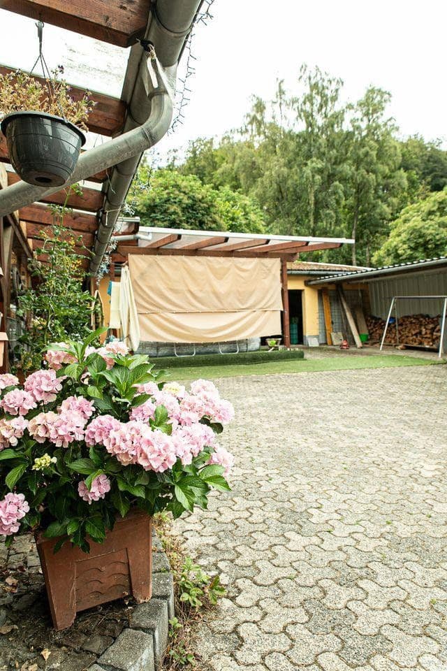 Predaj pozemku 67.115 m², Maxsain, Porýnie-Falcko Predaj pozemku 67.115 m², Maxsain, Porýnie-Falcko