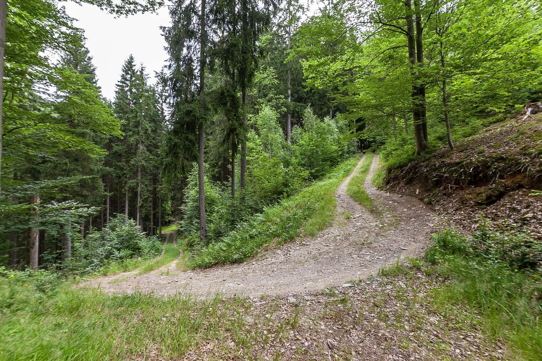 Predaj rekreačného objektu 240 m², pozemok 32.164 m², Jablonec nad Jizerou, Liberecký kraj Predaj rekreačného objektu 240 m², pozemok 32.164 m², Jablonec nad Jizerou, Liberecký kraj