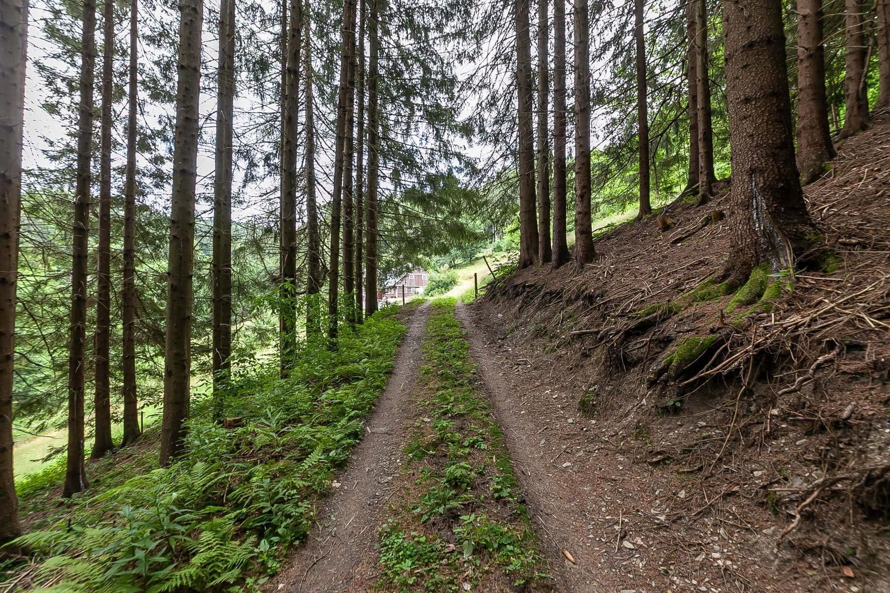 Predaj rekreačného objektu 240 m², pozemok 32.164 m², Jablonec nad Jizerou, Liberecký kraj Predaj rekreačného objektu 240 m², pozemok 32.164 m², Jablonec nad Jizerou, Liberecký kraj