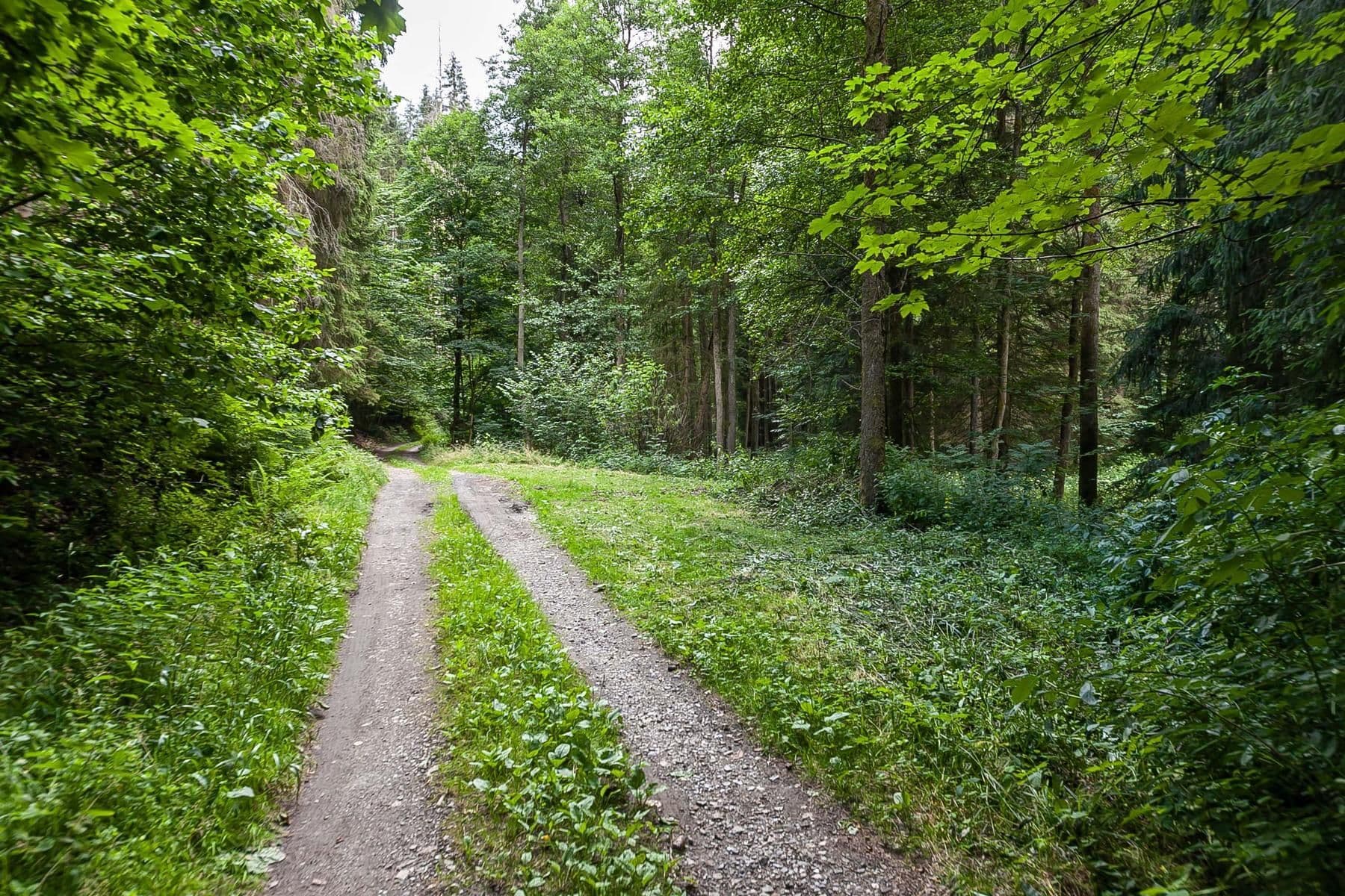 Predaj rekreačného objektu 240 m², pozemok 32.164 m², Jablonec nad Jizerou, Liberecký kraj Predaj rekreačného objektu 240 m², pozemok 32.164 m², Jablonec nad Jizerou, Liberecký kraj