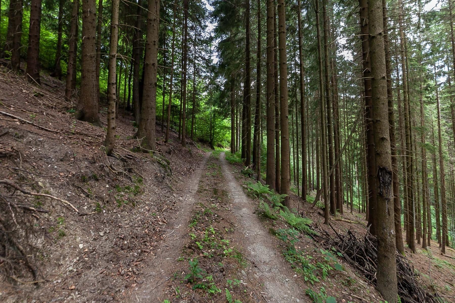 Predaj rekreačného objektu 240 m², pozemok 32.164 m², Jablonec nad Jizerou, Liberecký kraj Predaj rekreačného objektu 240 m², pozemok 32.164 m², Jablonec nad Jizerou, Liberecký kraj