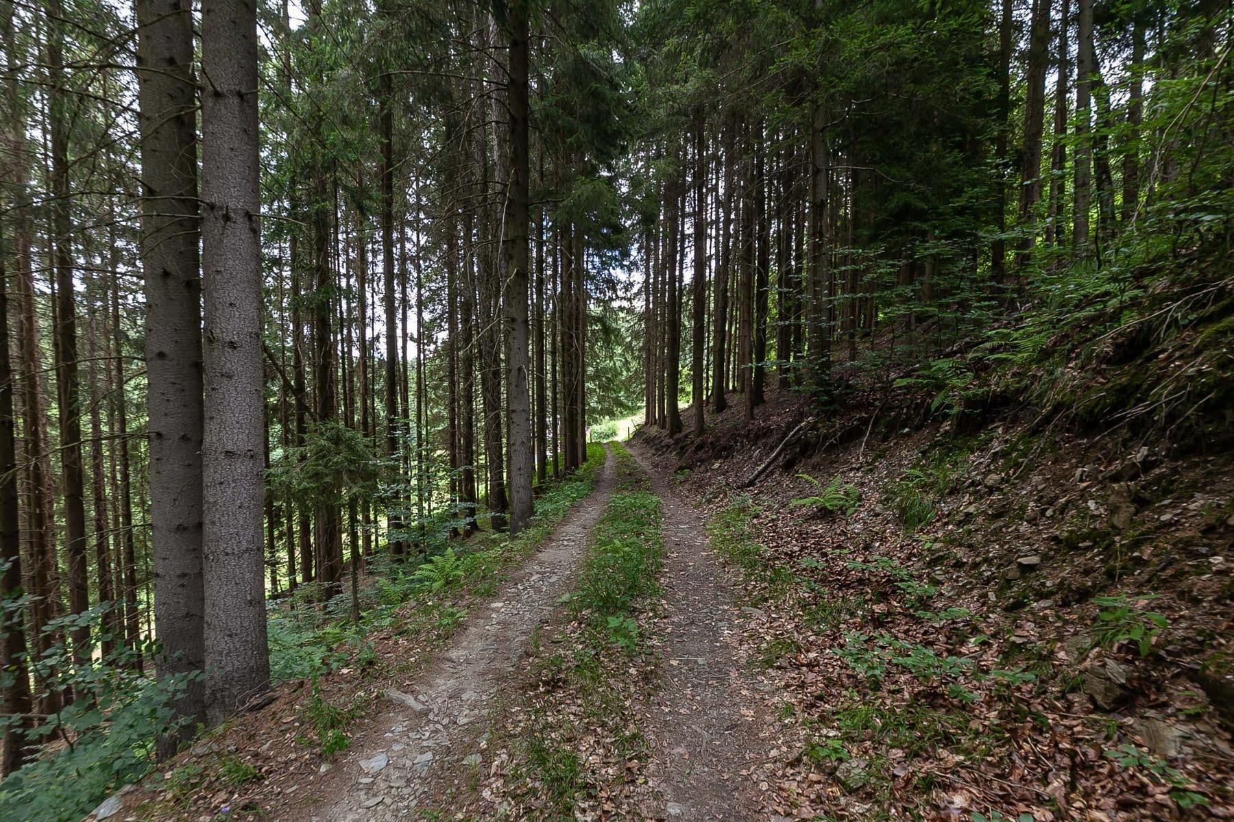 Predaj rekreačného objektu 240 m², pozemok 32.164 m², Jablonec nad Jizerou, Liberecký kraj Predaj rekreačného objektu 240 m², pozemok 32.164 m², Jablonec nad Jizerou, Liberecký kraj