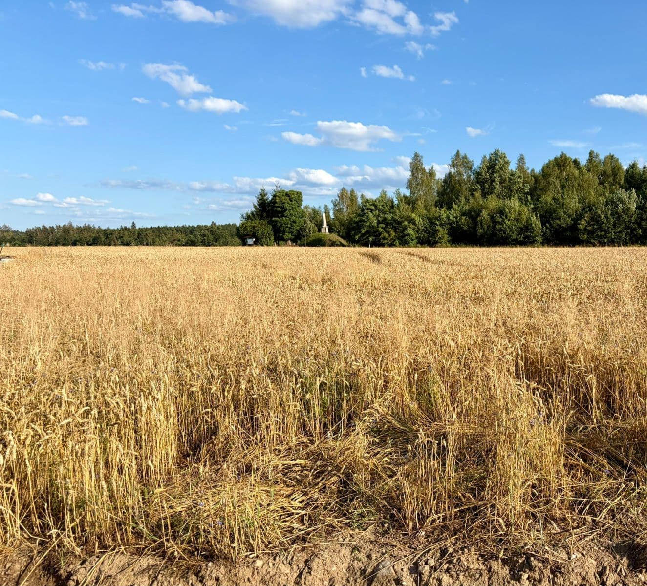 Predaj pozemku 714 m², Heřmaň, Jihočeský kraj Predaj pozemku 714 m², Heřmaň, Jihočeský kraj