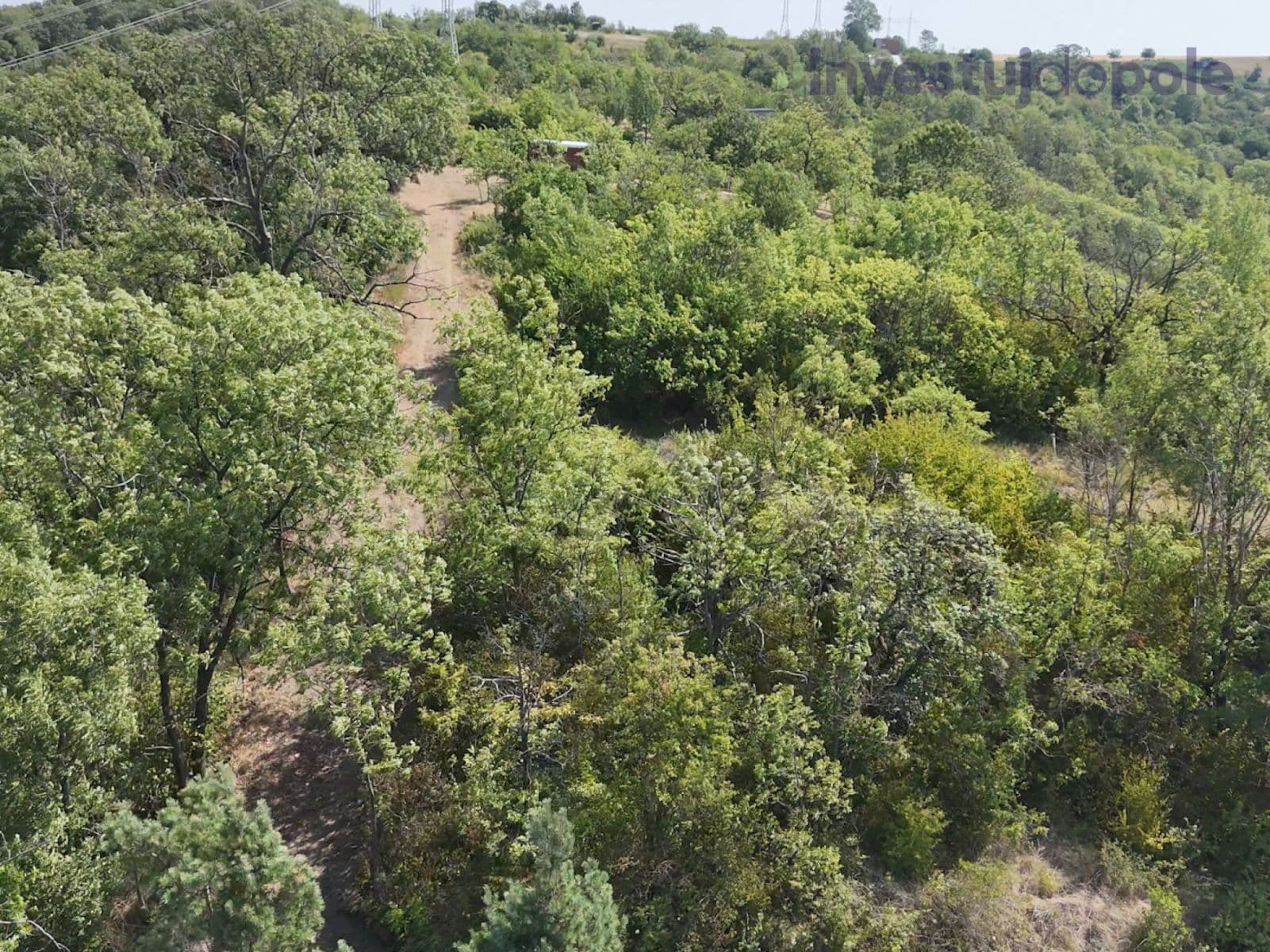 Predaj pozemku 2.052 m², Kobeřice u Brna, Jihomoravský kraj Predaj pozemku 2.052 m², Kobeřice u Brna, Jihomoravský kraj