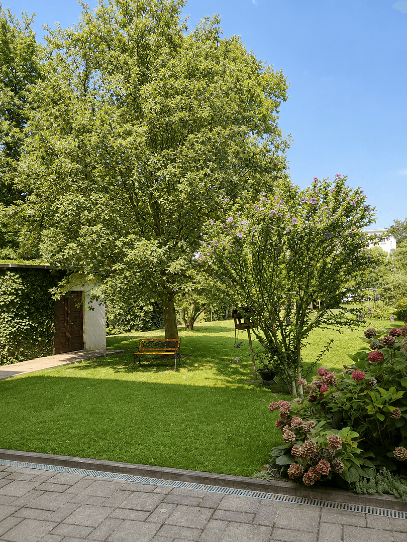 Prenájom bytu 3-izbový 75 m², Kaiser-Otto-Ring 2, Magdeburg, Sasko-Anhaltsko Prenájom bytu 3-izbový 75 m², Kaiser-Otto-Ring 2, Magdeburg, Sasko-Anhaltsko