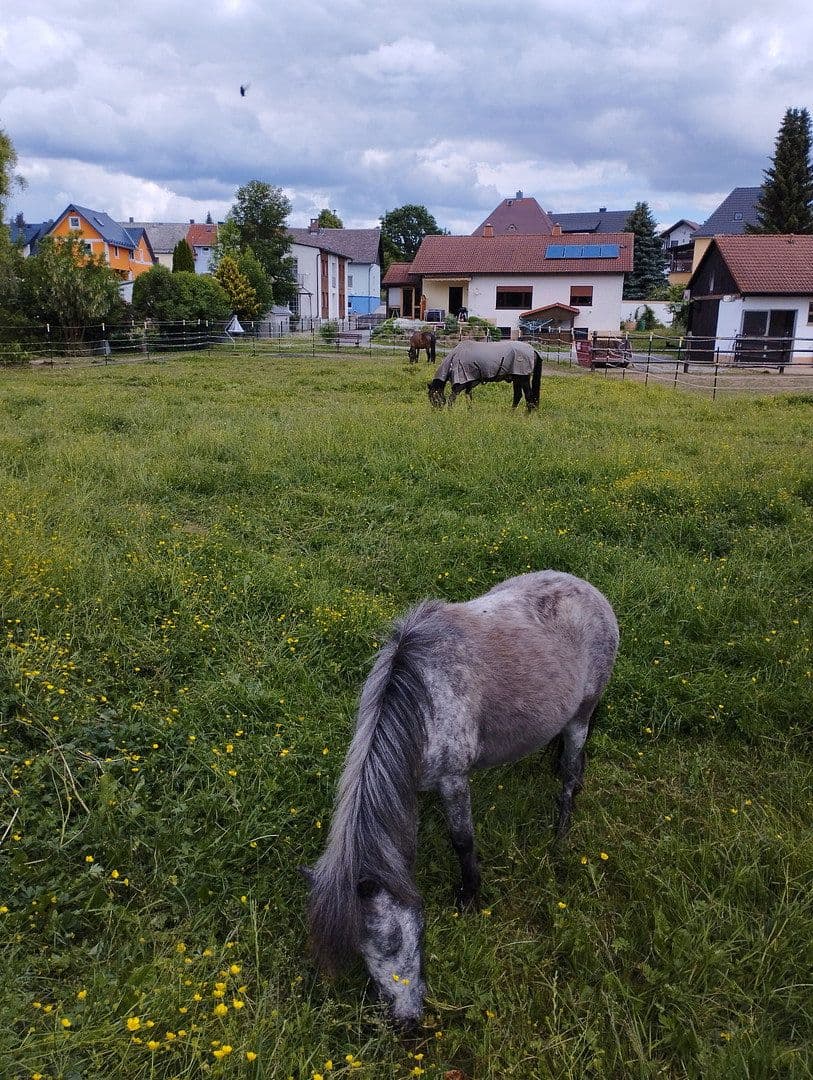 Predaj domu 250 m², pozemok 4.000 m², Thiersheim, Bavorsko Predaj domu 250 m², pozemok 4.000 m², Thiersheim, Bavorsko