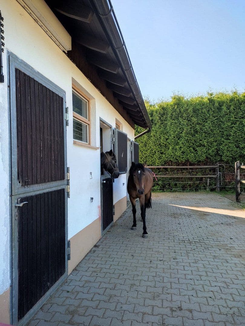 Predaj domu 250 m², pozemok 4.000 m², Thiersheim, Bavorsko Predaj domu 250 m², pozemok 4.000 m², Thiersheim, Bavorsko