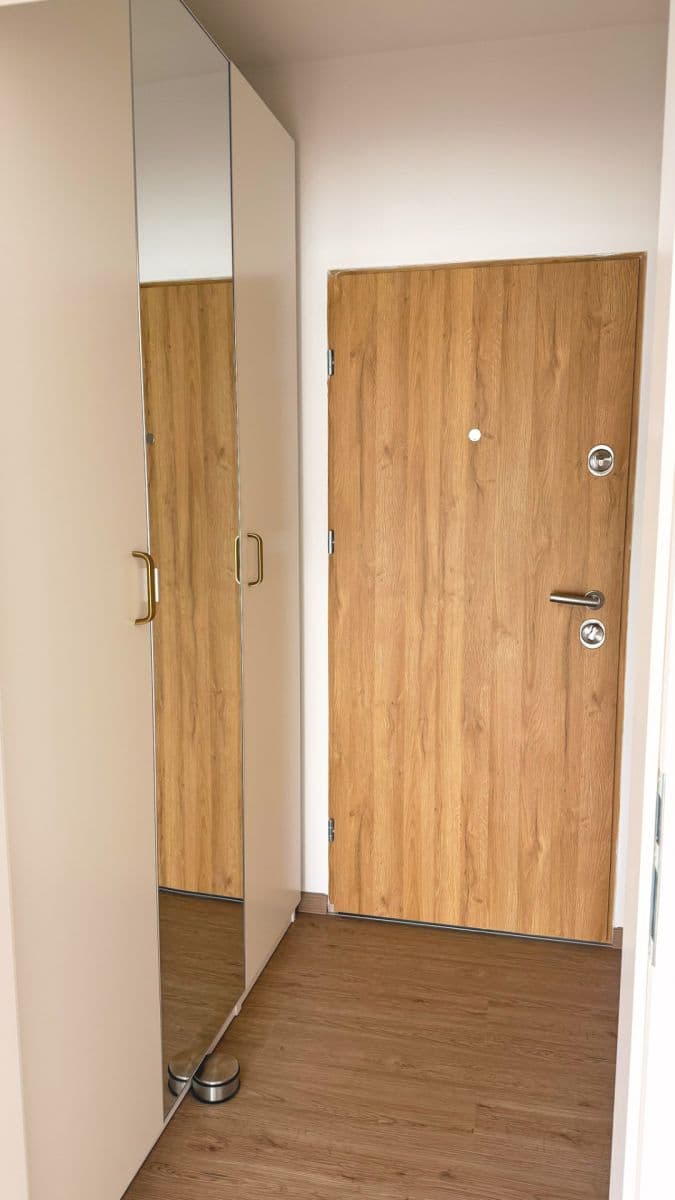 Prenájom bytu 1-izbový 33 m², Faměrovo náměstí, Brno, Jihomoravský kraj Prenájom bytu 1-izbový 33 m², Faměrovo náměstí, Brno, Jihomoravský kraj