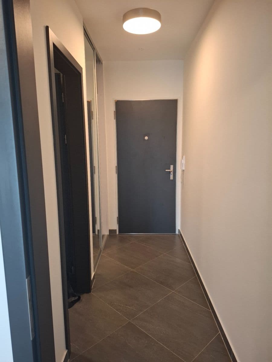 Prenájom bytu 1-izbový 30 m², Švehlova, Praha, Praha Prenájom bytu 1-izbový 30 m², Švehlova, Praha, Praha