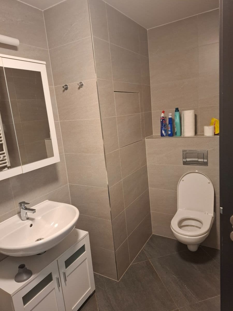 Prenájom bytu 1-izbový 30 m², Švehlova, Praha, Praha Prenájom bytu 1-izbový 30 m², Švehlova, Praha, Praha