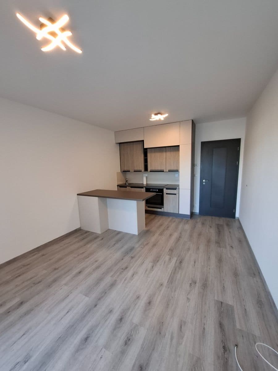 Prenájom bytu 1-izbový 30 m², Švehlova, Praha, Praha Prenájom bytu 1-izbový 30 m², Švehlova, Praha, Praha