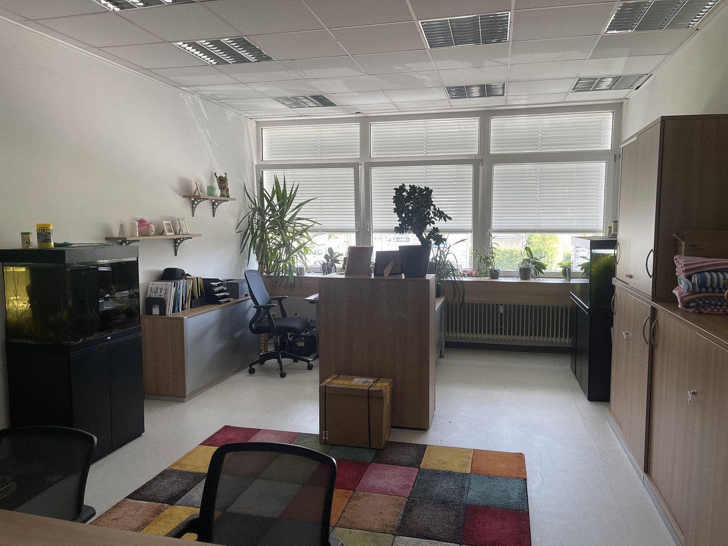 Prenájom nebytového priestoru 734 m², Lauterbachstraße 89, Eggenfelden, Bavorsko Prenájom nebytového priestoru 734 m², Lauterbachstraße 89, Eggenfelden, Bavorsko