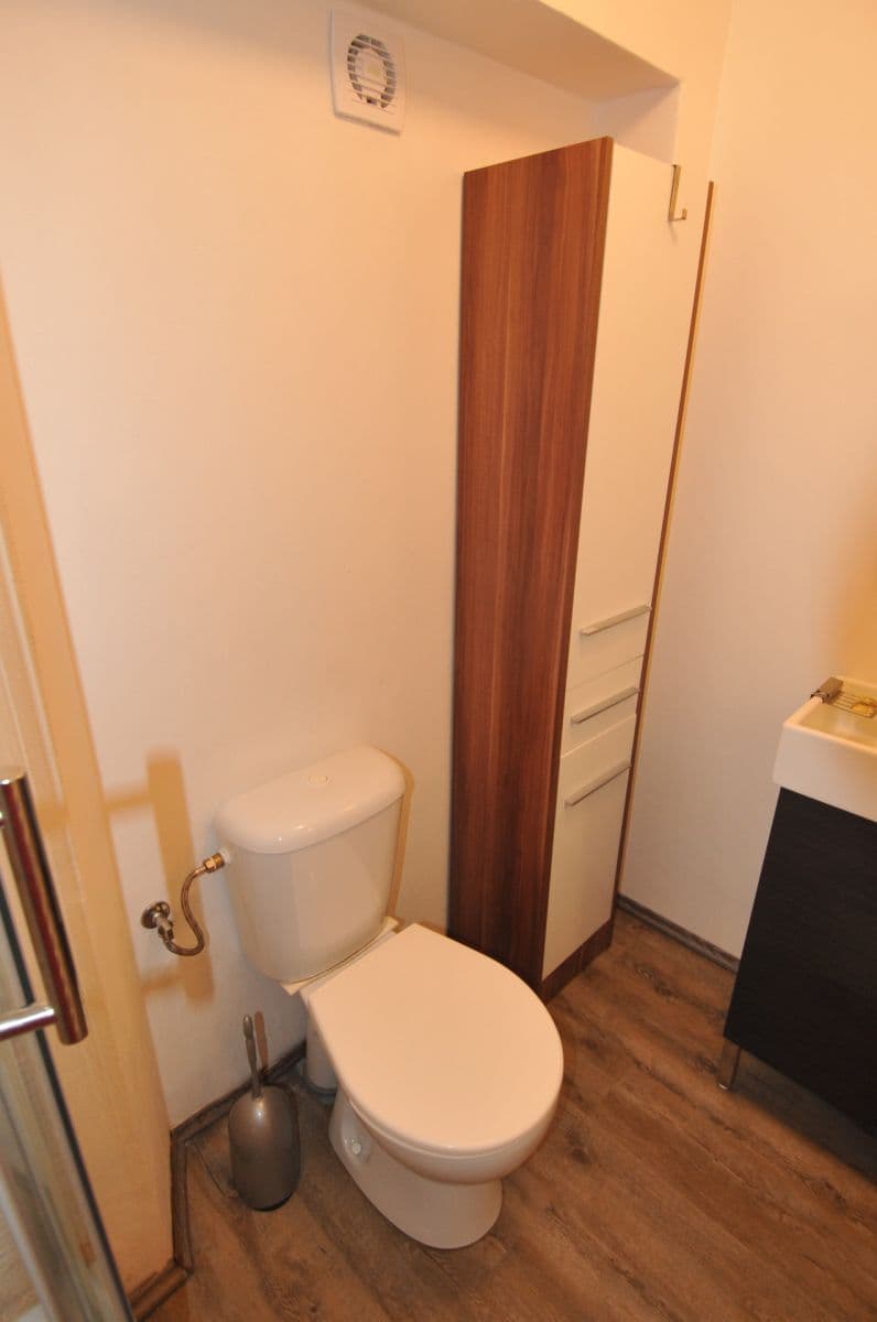 Prenájom bytu 1-izbový 20 m², Na Cikánce, Praha, Praha Prenájom bytu 1-izbový 20 m², Na Cikánce, Praha, Praha