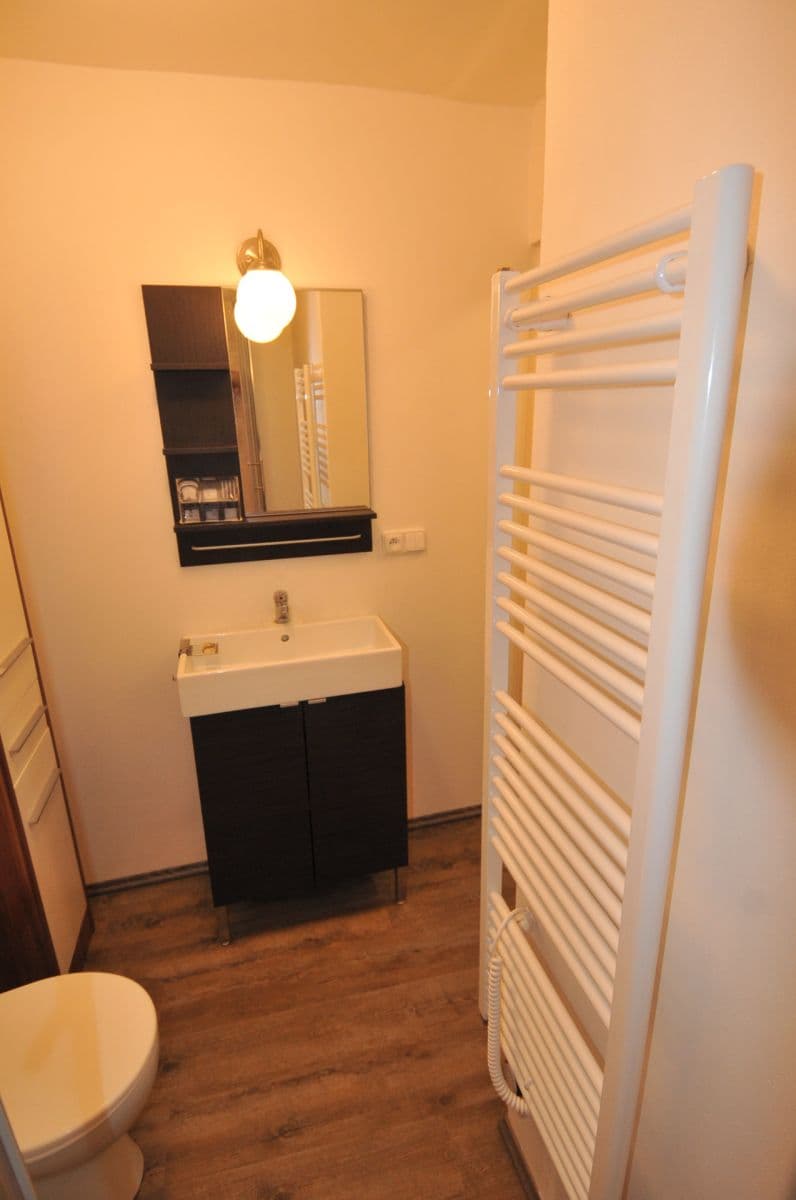 Prenájom bytu 1-izbový 20 m², Na Cikánce, Praha, Praha Prenájom bytu 1-izbový 20 m², Na Cikánce, Praha, Praha