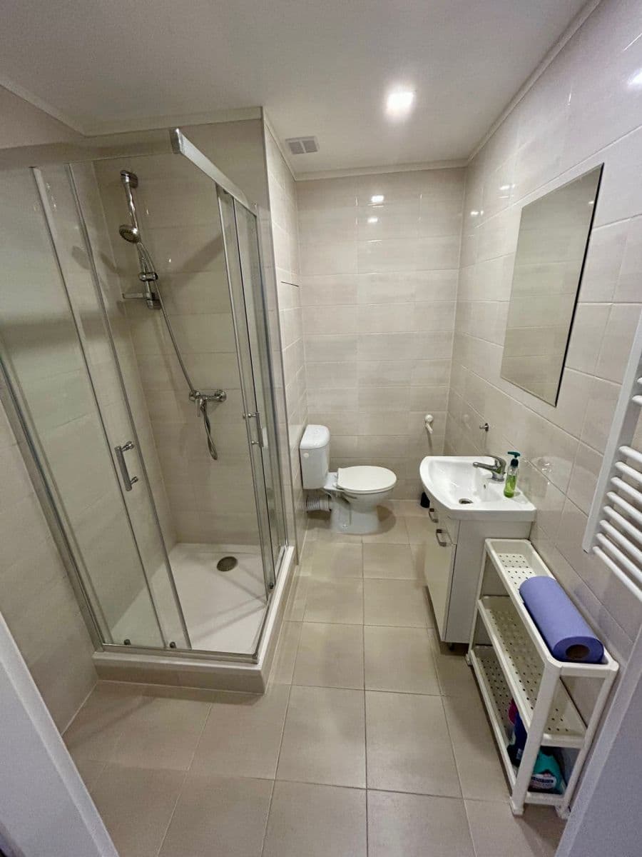 Prenájom bytu 1-izbový 27 m², Křižíkova, Ostrava, Moravskoslezský kraj Prenájom bytu 1-izbový 27 m², Křižíkova, Ostrava, Moravskoslezský kraj