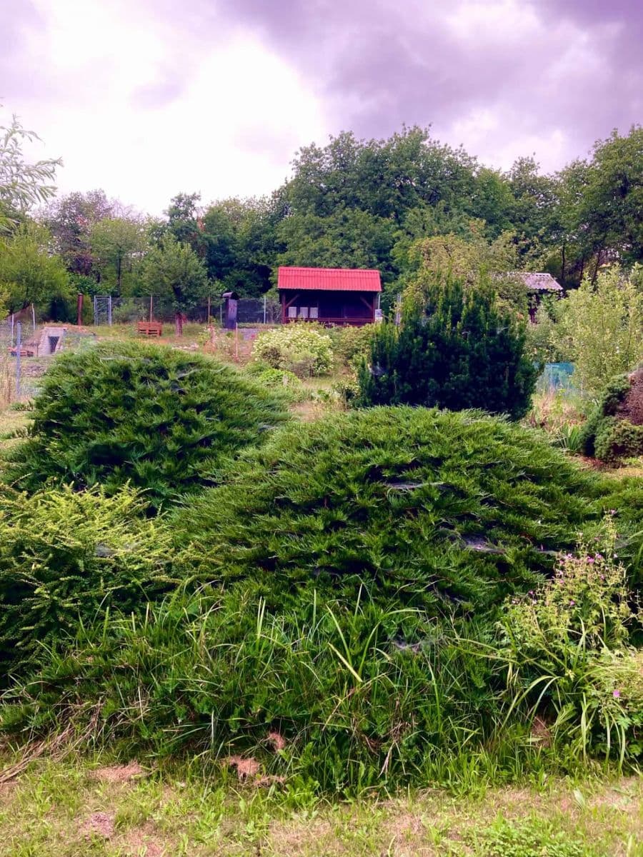 Predaj rekreačného objektu 16 m², pozemok 382 m², Votice, Středočeský kraj Predaj rekreačného objektu 16 m², pozemok 382 m², Votice, Středočeský kraj