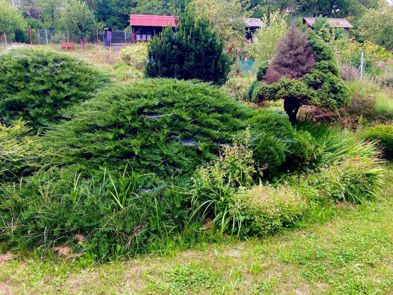 Predaj rekreačného objektu 16 m², pozemok 382 m², Votice, Středočeský kraj Predaj rekreačného objektu 16 m², pozemok 382 m², Votice, Středočeský kraj