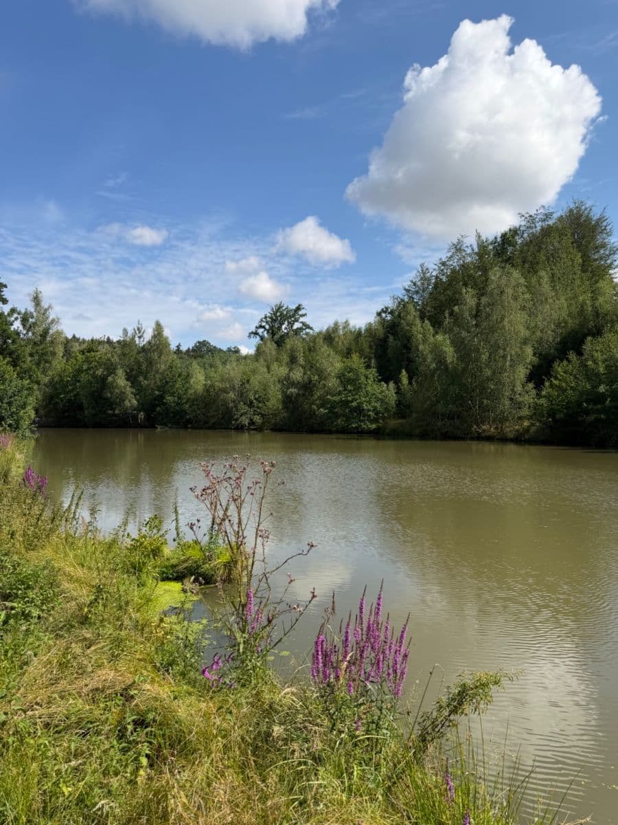 Predaj rekreačného objektu 30 m², pozemok 1.000 m², 33333, Zásmuky, Středočeský kraj Predaj rekreačného objektu 30 m², pozemok 1.000 m², 33333, Zásmuky, Středočeský kraj