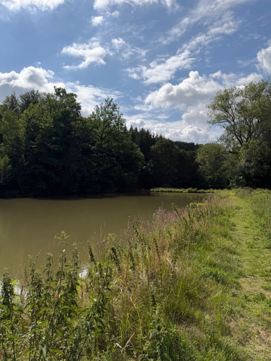 Predaj rekreačného objektu 30 m², pozemok 1.000 m², 33333, Zásmuky, Středočeský kraj Predaj rekreačného objektu 30 m², pozemok 1.000 m², 33333, Zásmuky, Středočeský kraj